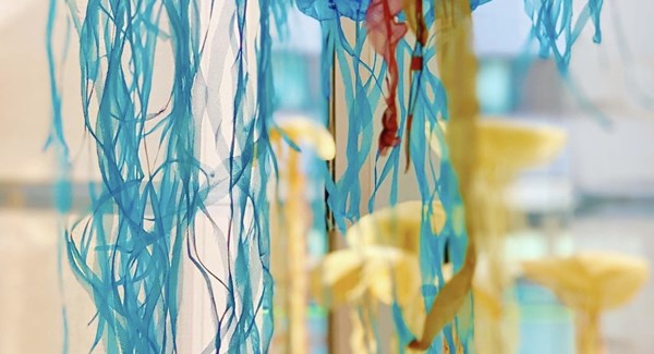 Cinquecento Medusae et Corallium - Exposition à la Bibliothèque de Crans-Montana