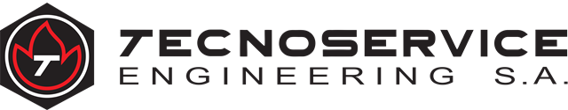 Logo Officiel Tecnoservice 2019